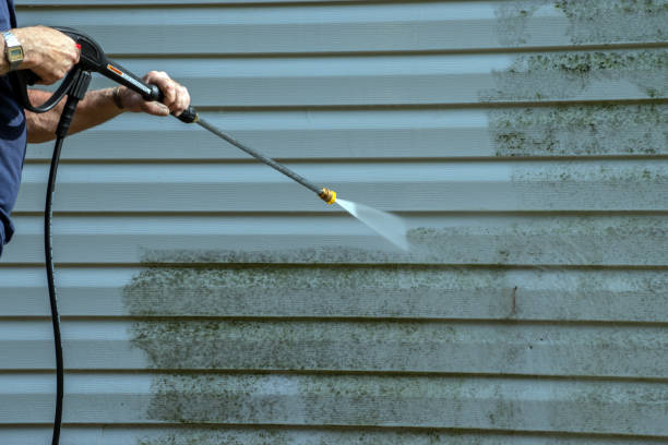 Best Deck and Patio Pressure Washing in Fremont, MI